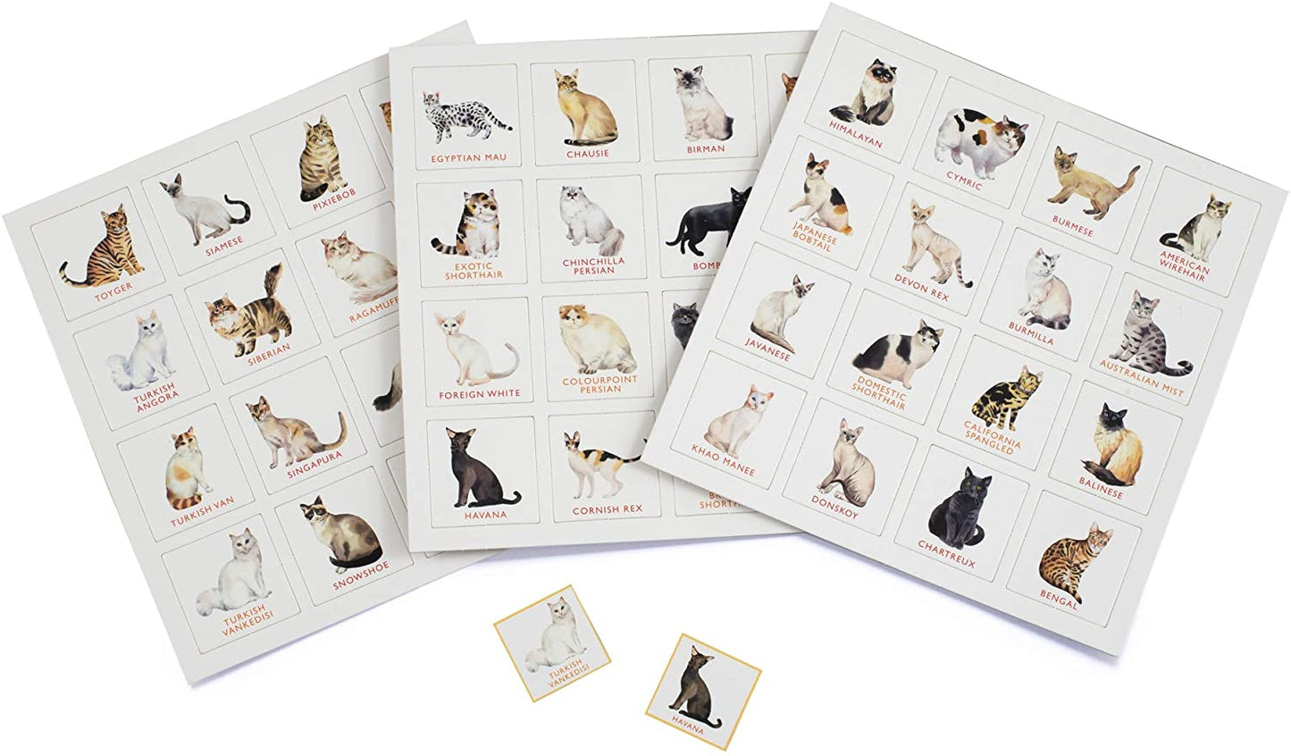 Cat Bingo