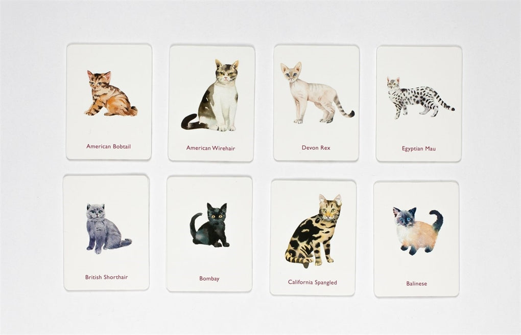 Cats & Kittens Memory Game