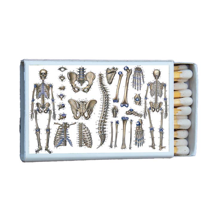 Skeleton Matches