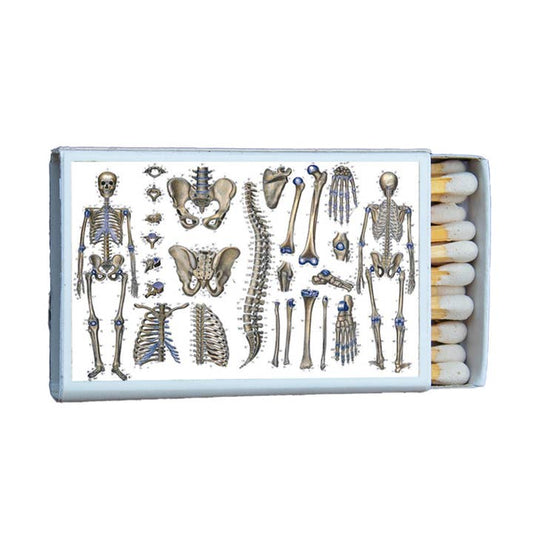 Skeleton Matches