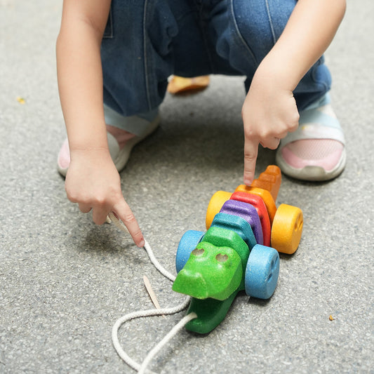 Pull Along Rainbow Alligator