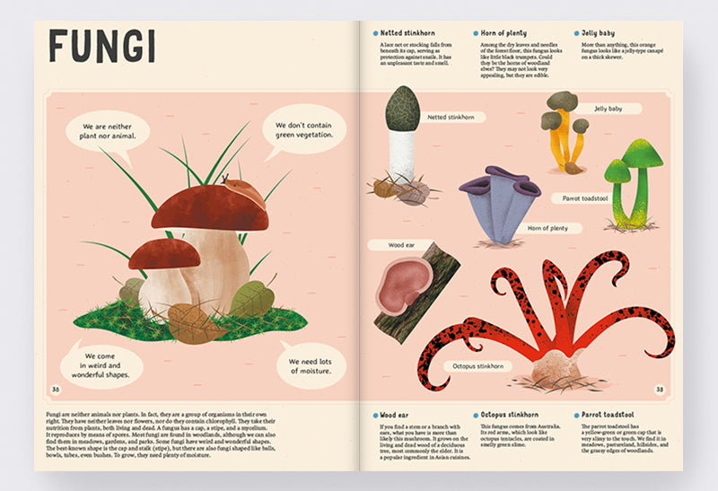 Encyclopedia of Plants, Fungi, and Lichens for Young Readers