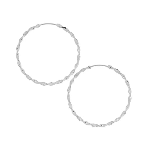 Twisted Hoop Earrings