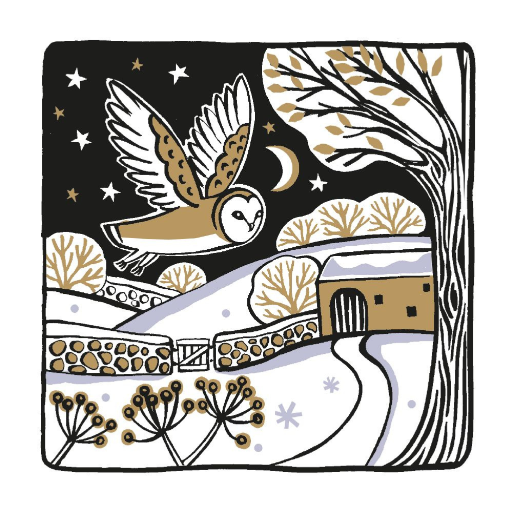 Country Owl Holiday Boxed Cards (8 cards)