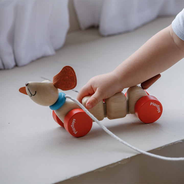 Happy Puppy Pull Along Toy