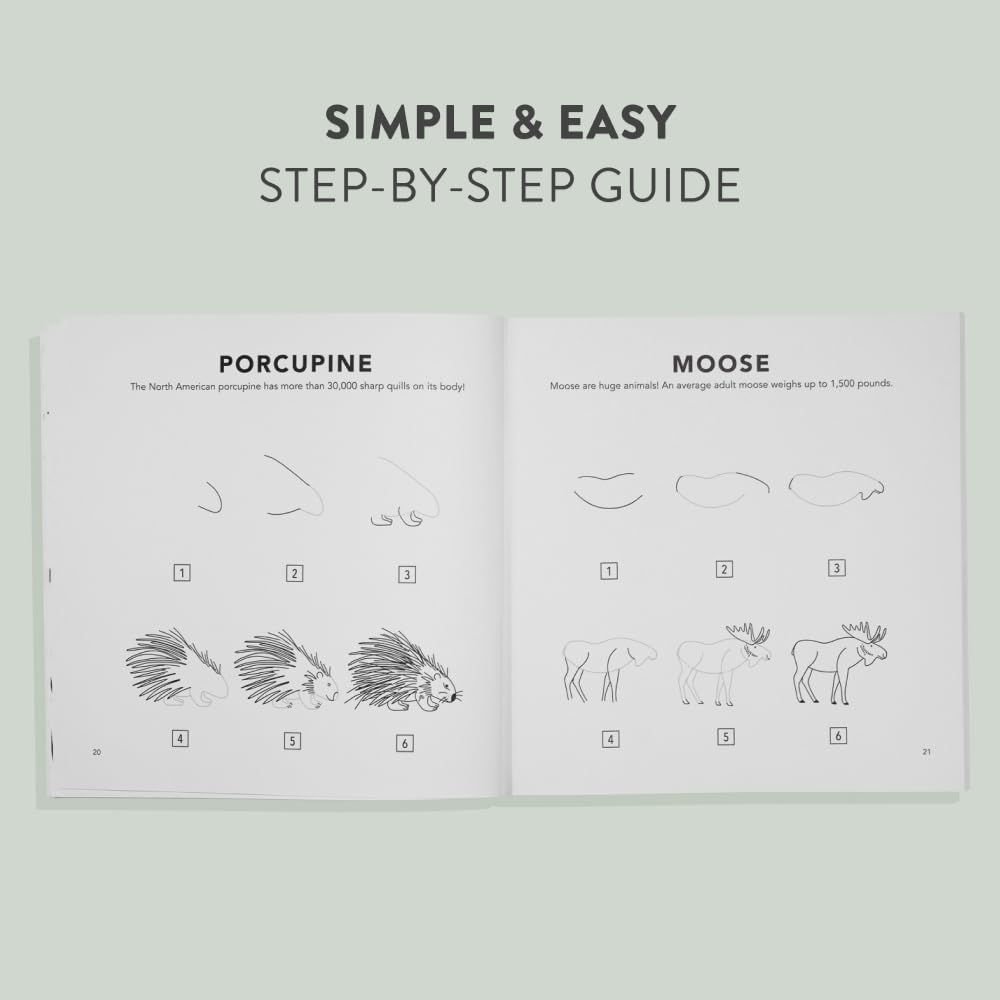 How to Draw Woodland Creatures for Kids