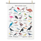 Lily Kao Alphabet Tea Towel