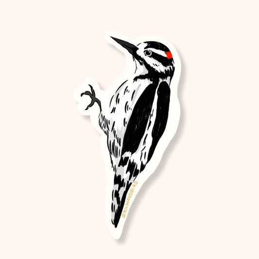 Woodpecker Sticker