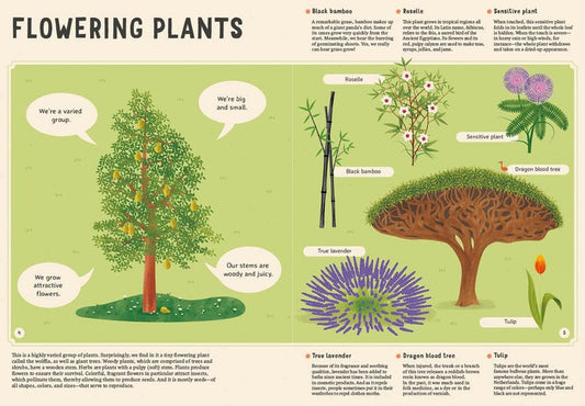 Encyclopedia of Plants, Fungi, and Lichens for Young Readers