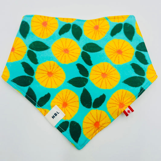 Flower Field Bandana Bib