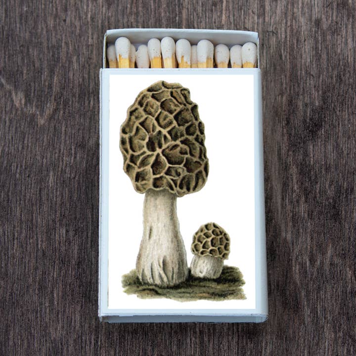 Mushroom Morchel Matches