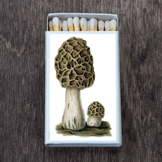 Mushroom Morchel Matches