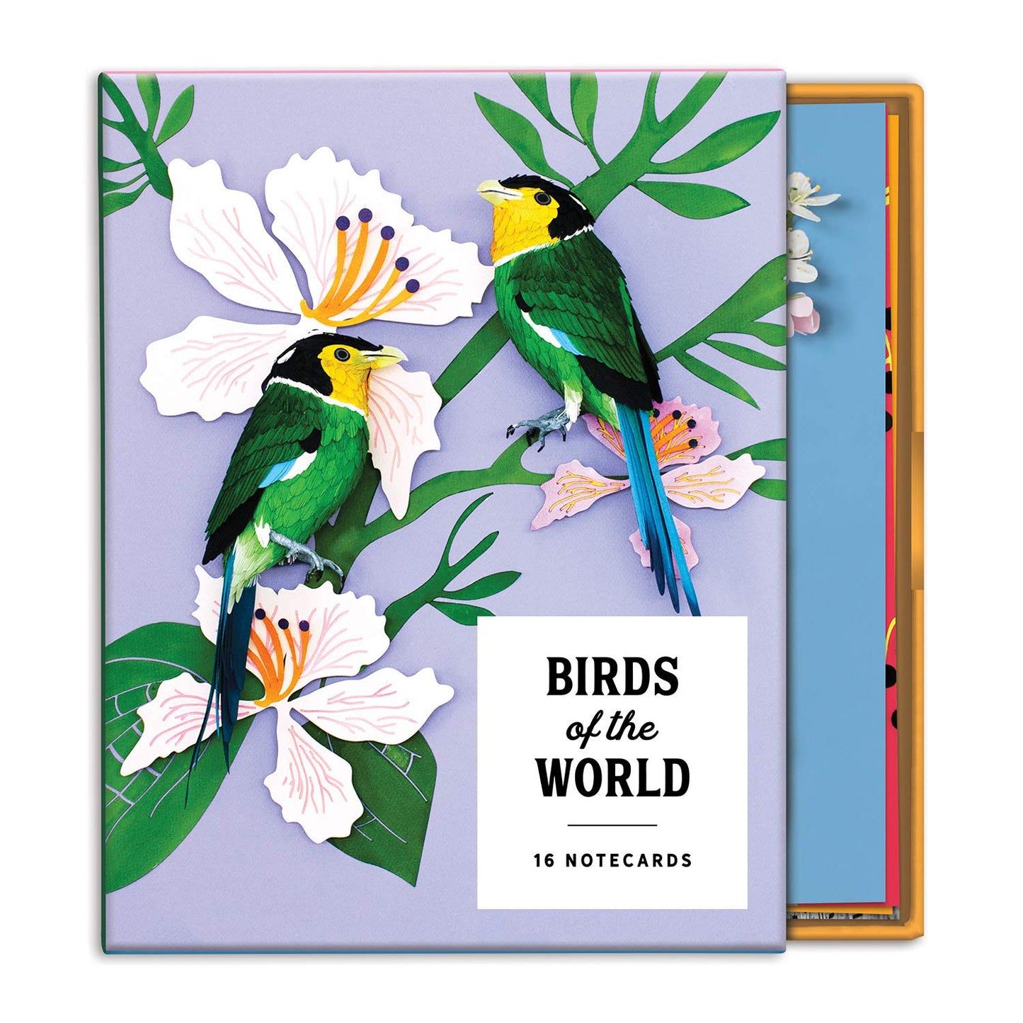 Birds of the World Notecards