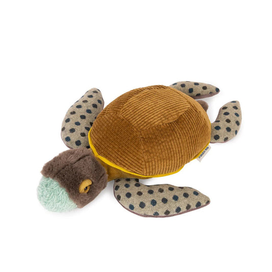 Soft Toy Turtle