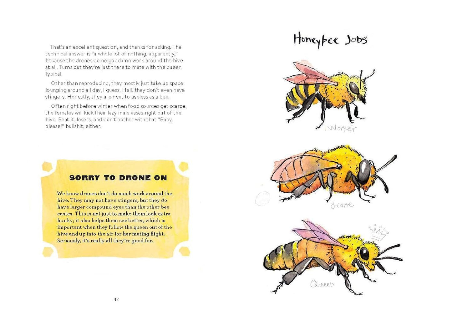 OMFG, BEES!: Bees Are So Amazing and You're About to Find Out Why