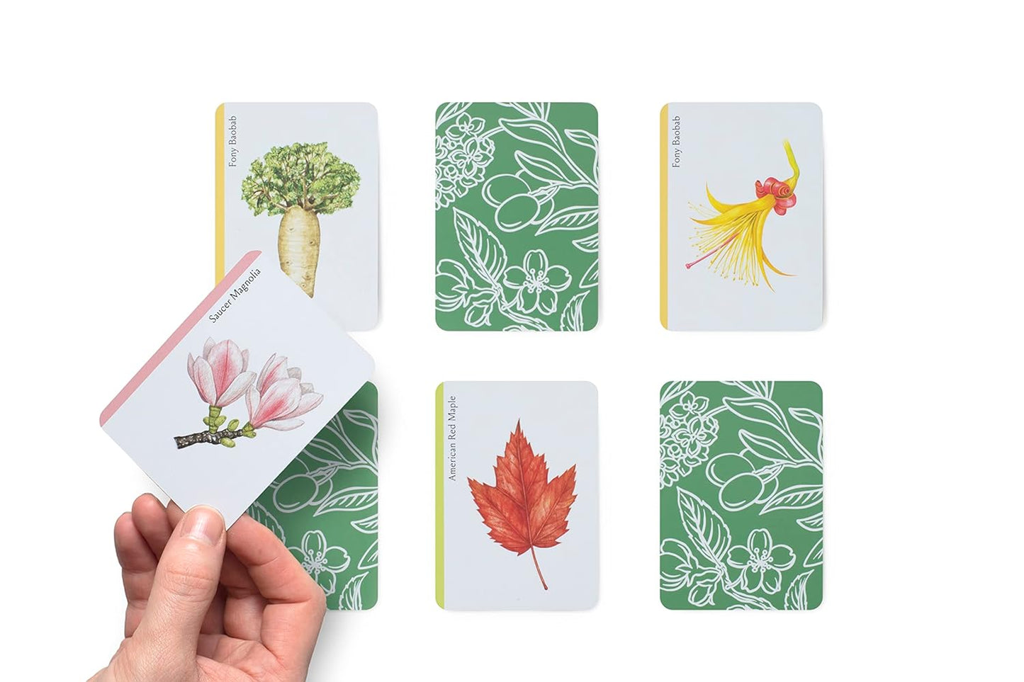 Tree Families Card Game