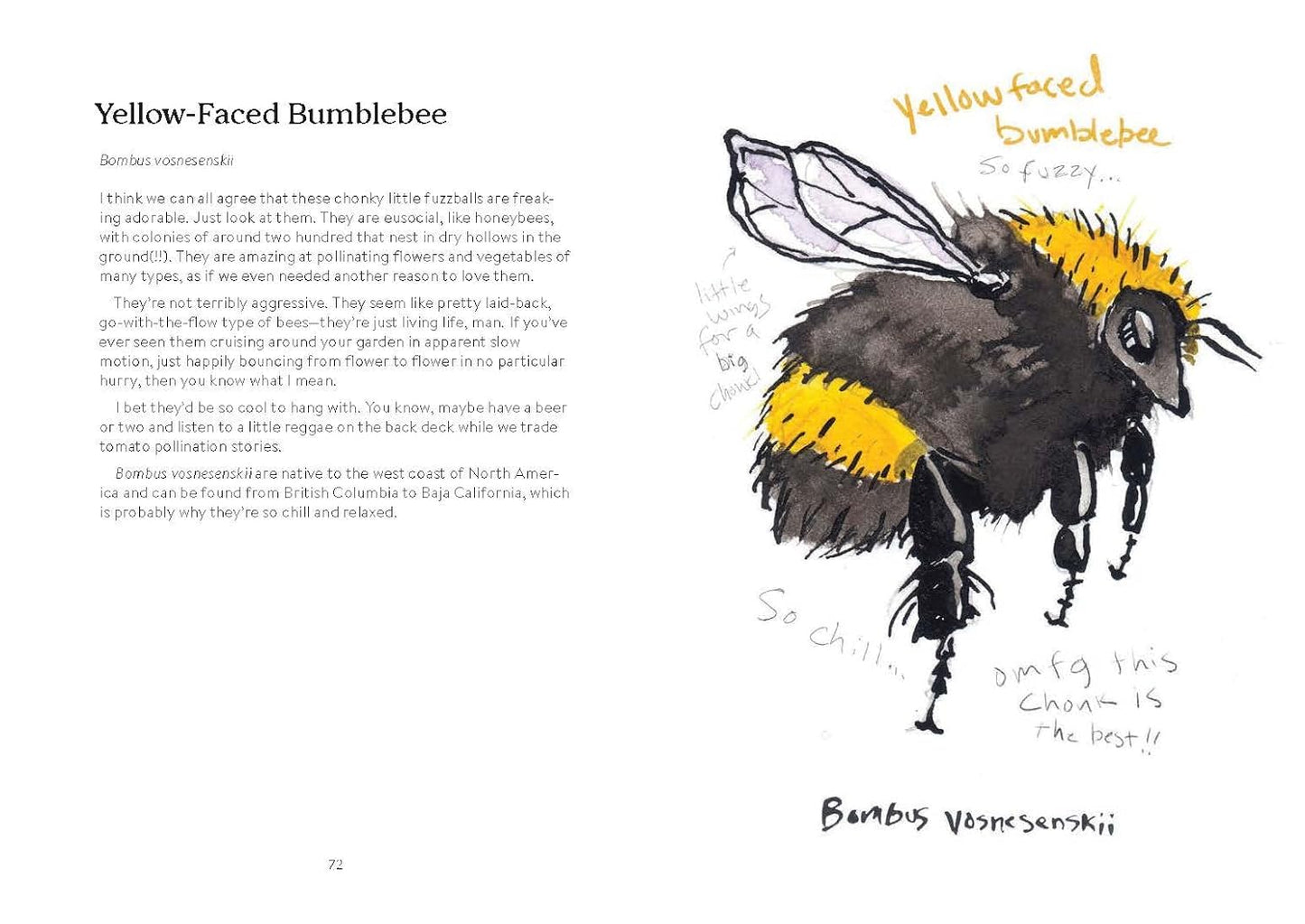 OMFG, BEES!: Bees Are So Amazing and You're About to Find Out Why