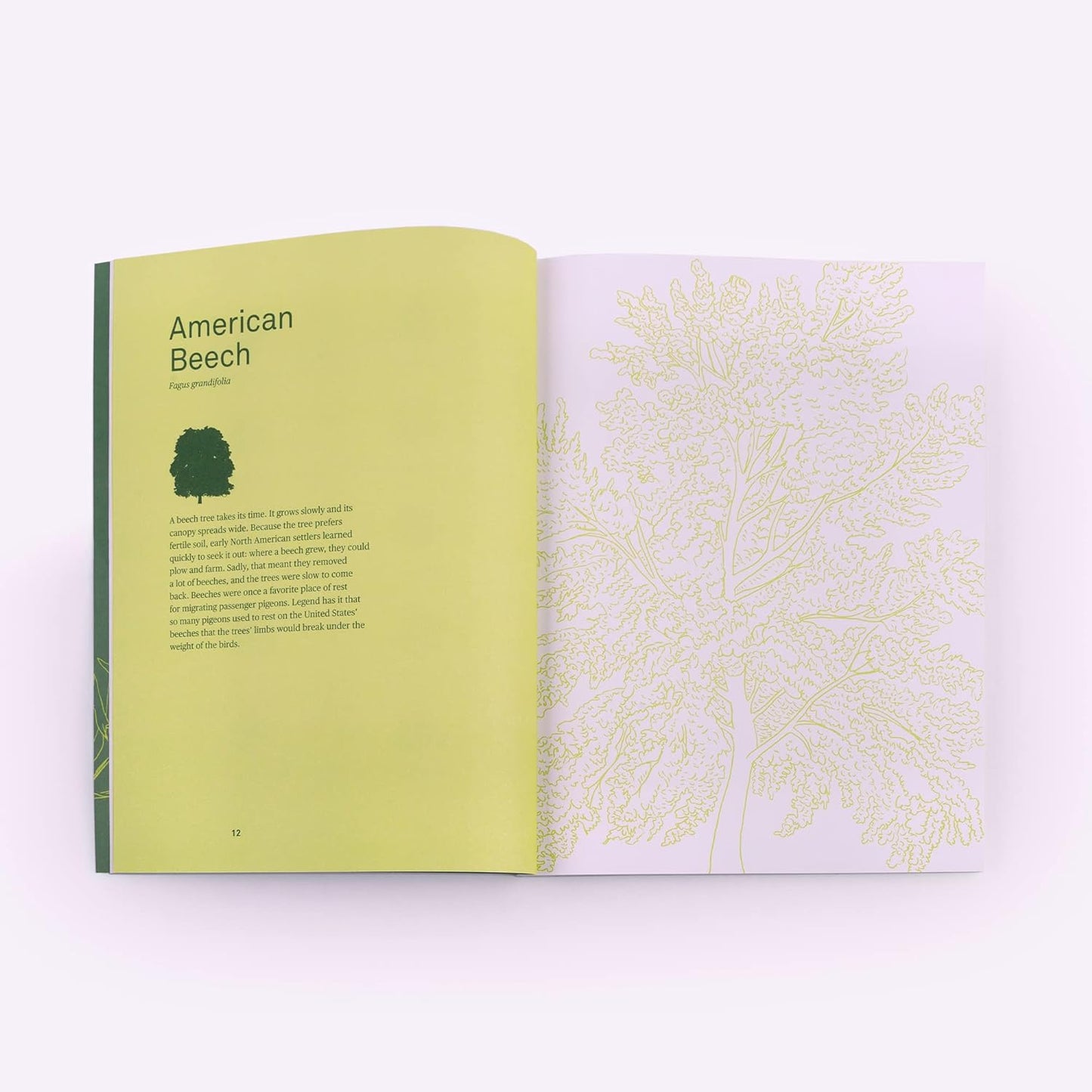 Drawing Trees: A Guided Journal