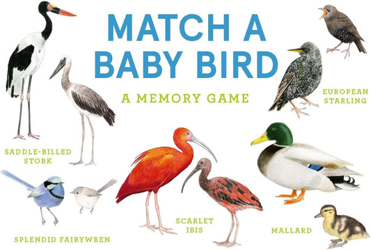 Match A Baby Bird Memory Game