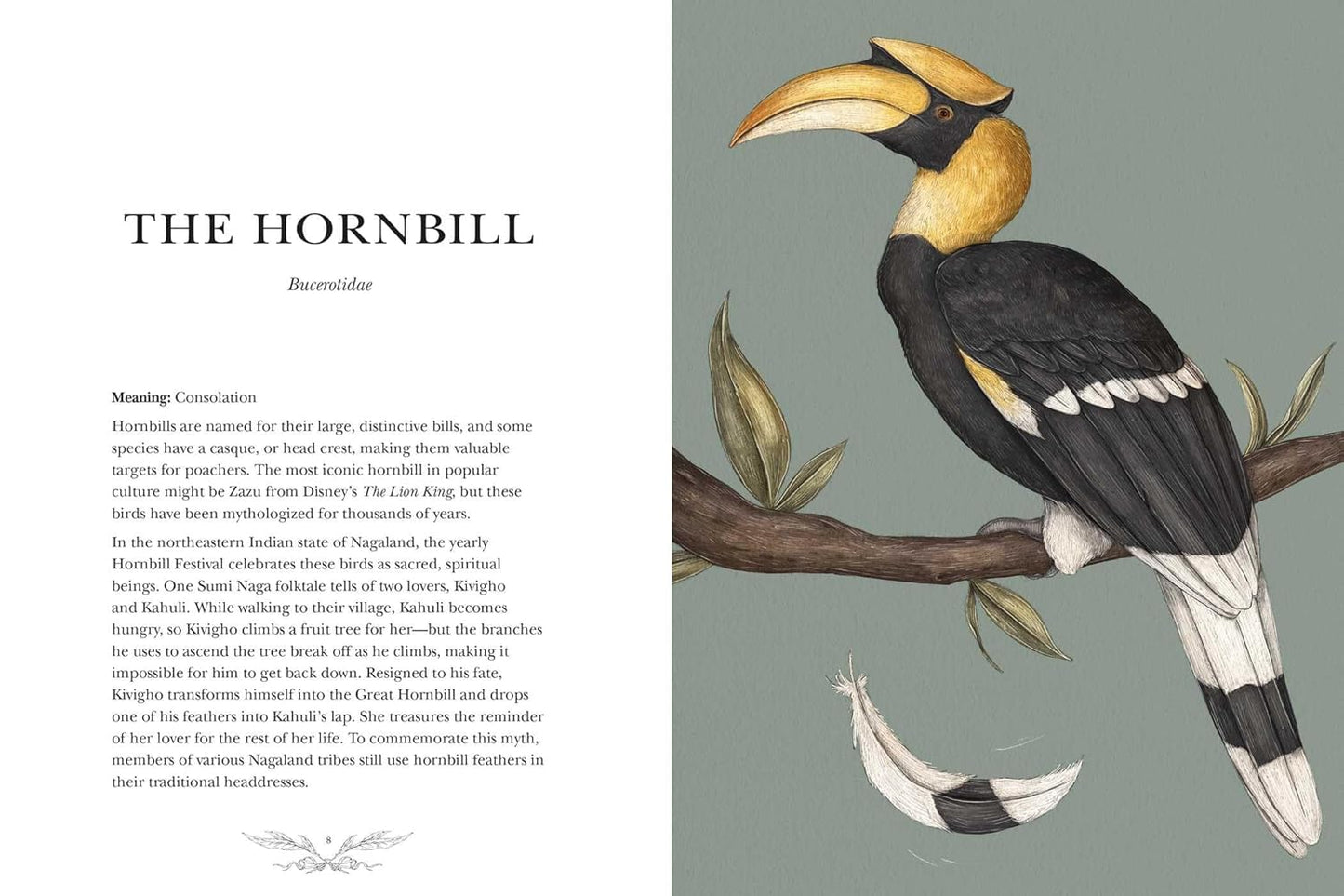 Ornithography: An Illustrated Guide to Bird Lore & Symbolism