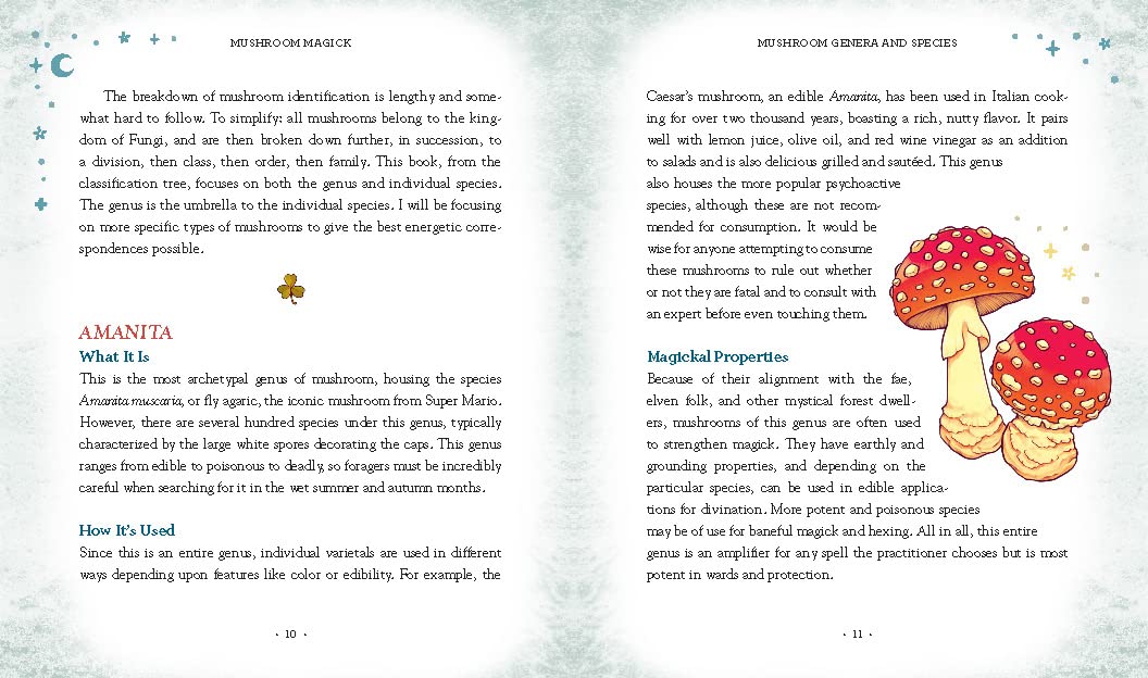Mushroom Magick