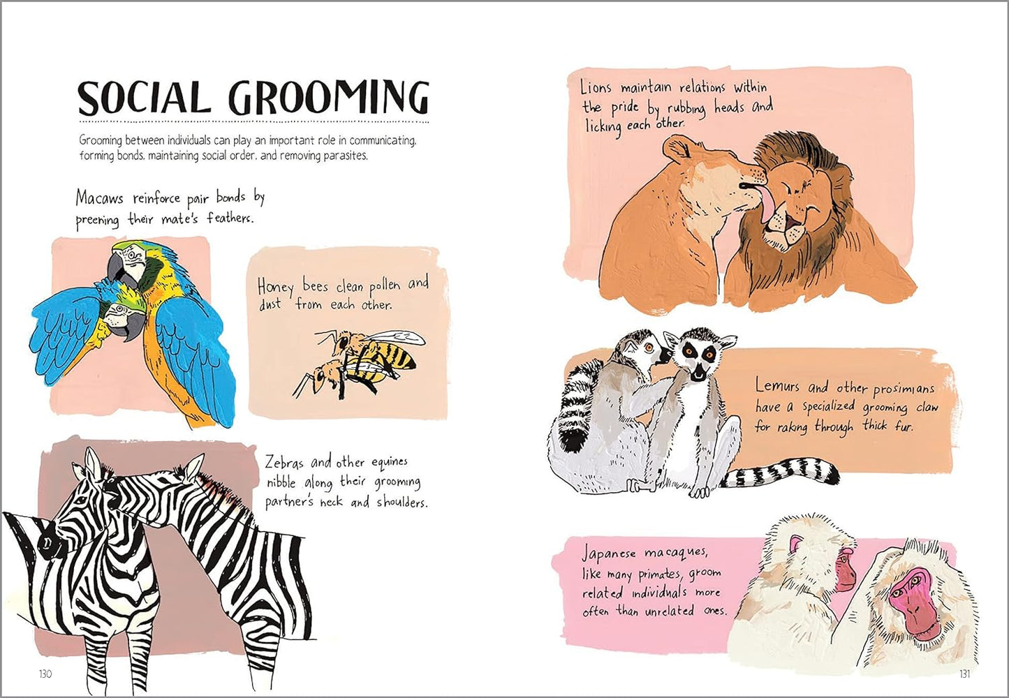 Wildlife Anatomy: The Curious Parts and Pieces of the Natural World