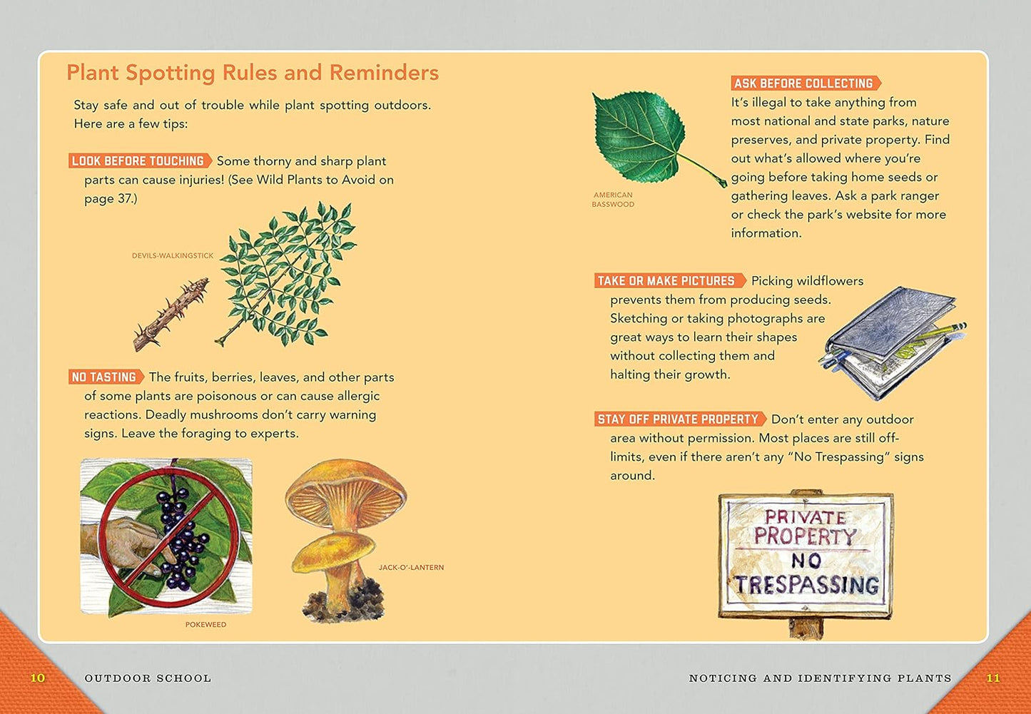 Outdoor School: Tree, Wildflower, and Mushroom Spotting