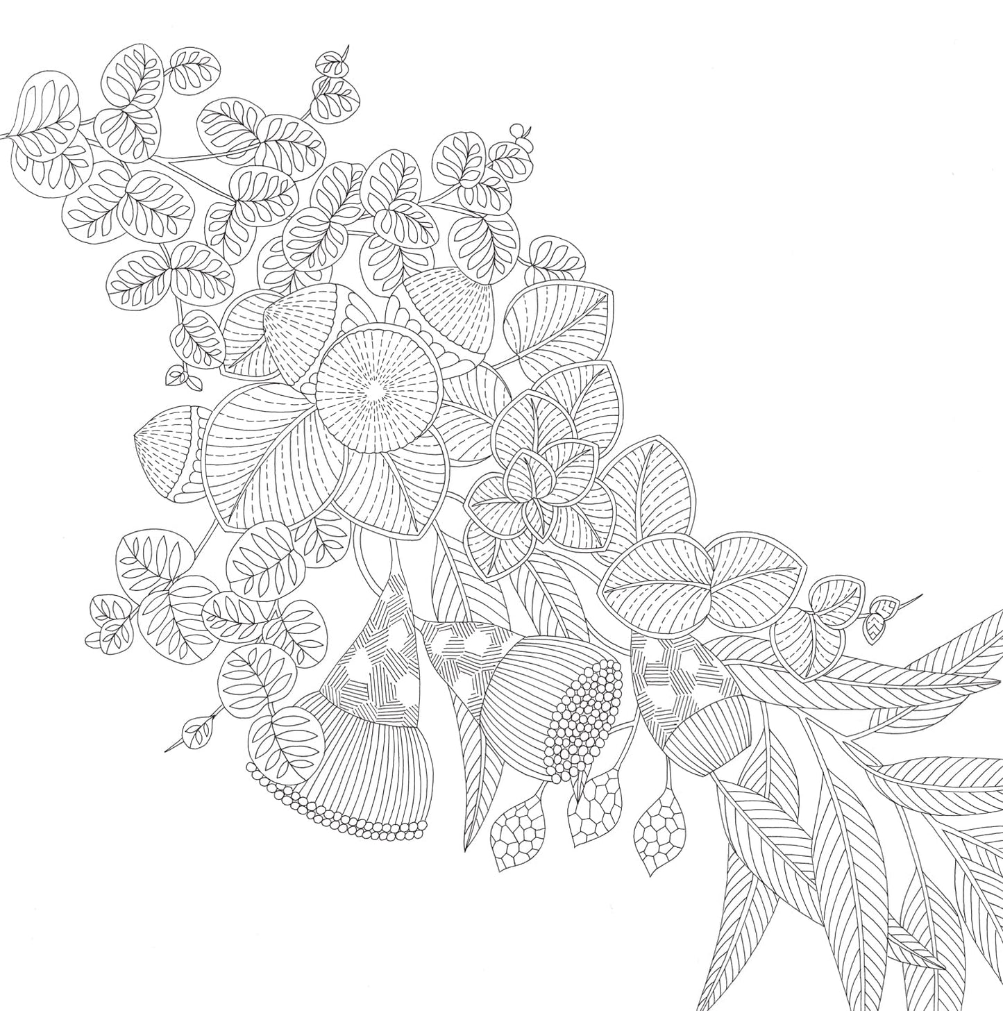 Millie Marotta's Woodland Wild Coloring Book