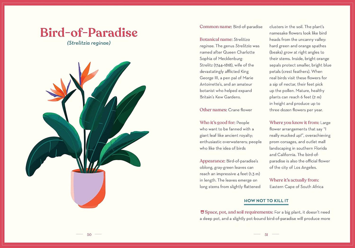 The Green Dumb Guide to Houseplants