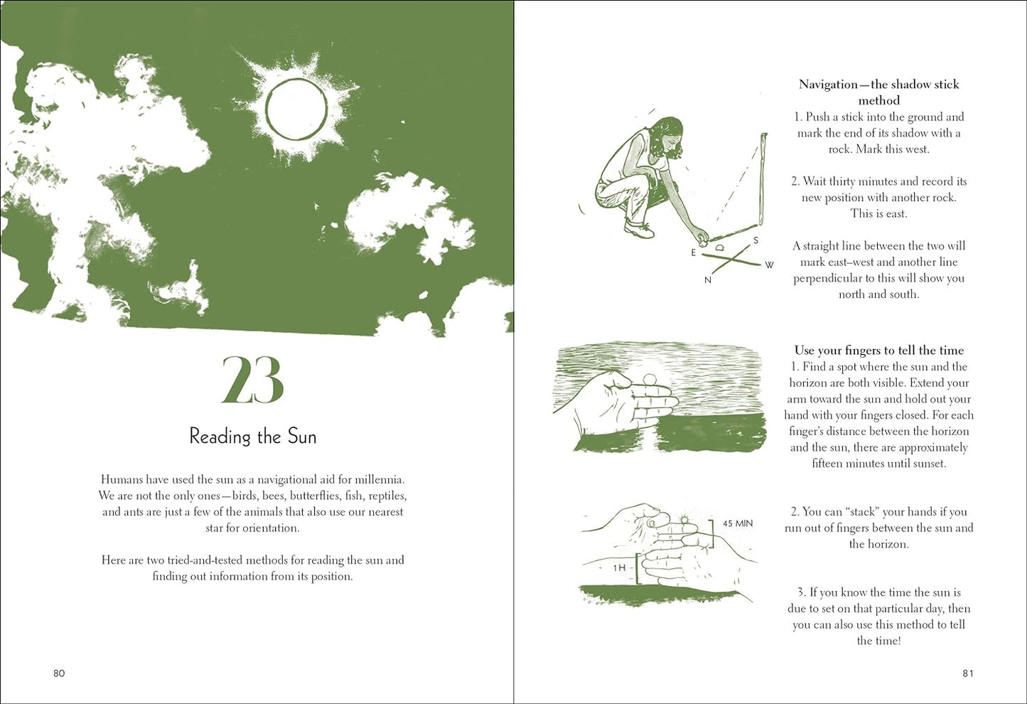 50 Things to Do in the Wild by Richard Skrein