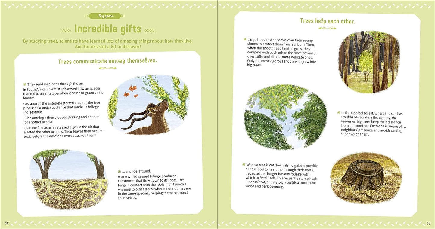 The Book of Amazing Trees