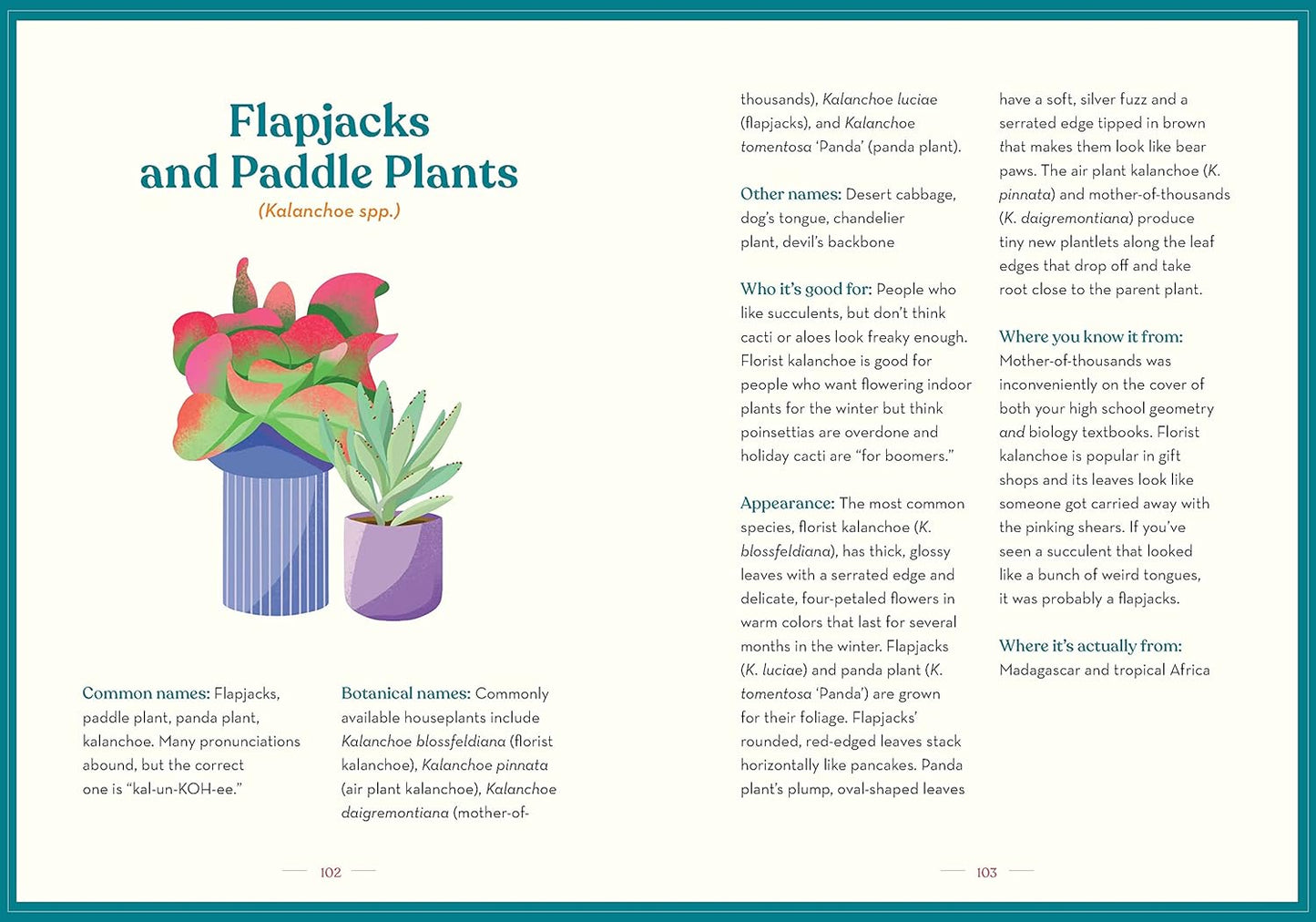 The Green Dumb Guide to Houseplants