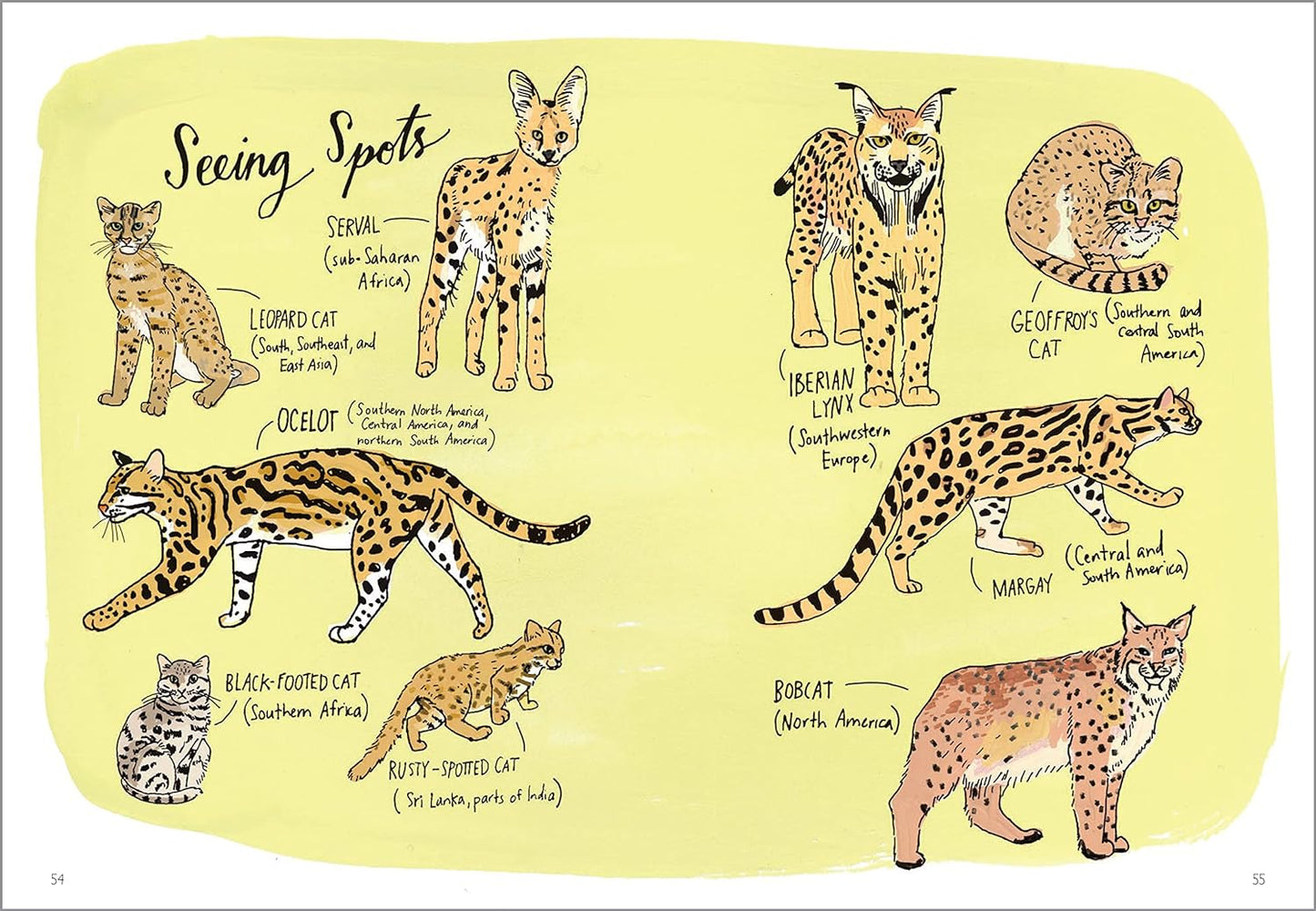 Wildlife Anatomy: The Curious Parts and Pieces of the Natural World