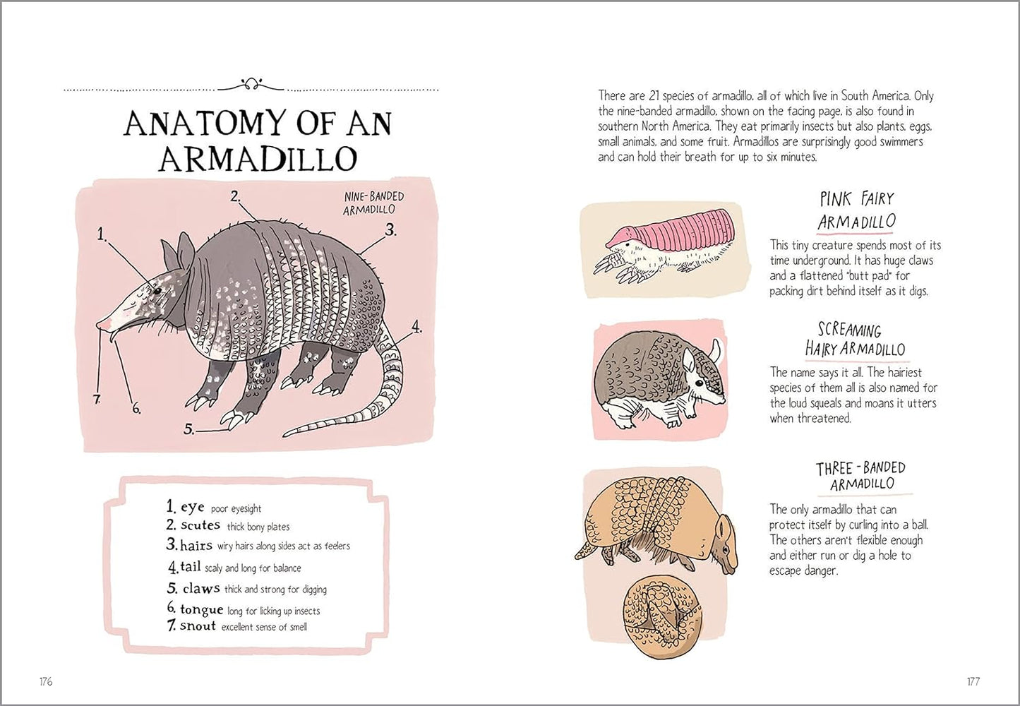 Wildlife Anatomy: The Curious Parts and Pieces of the Natural World