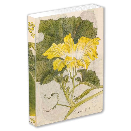Japanese Squash Blossom Lined Paperback Journal