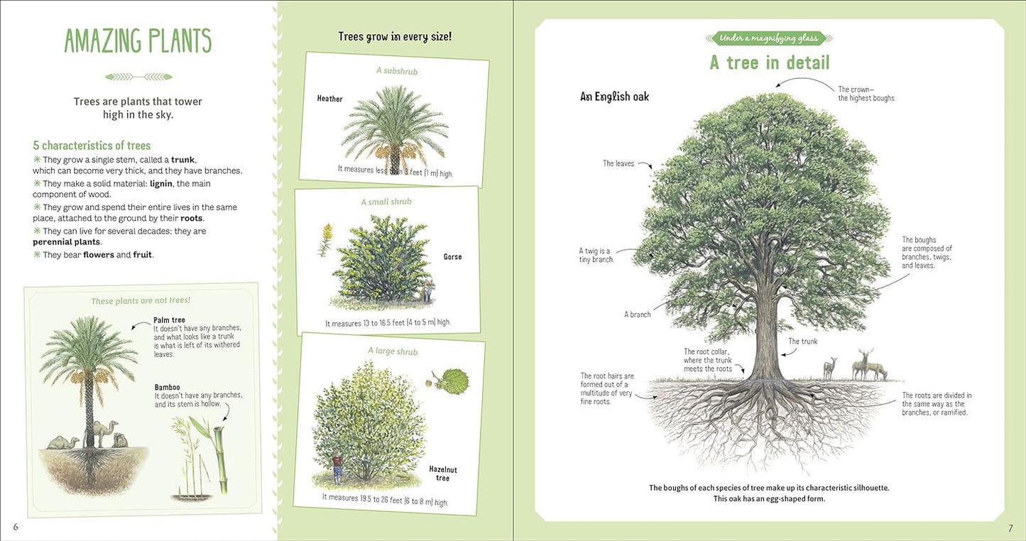 The Book of Amazing Trees