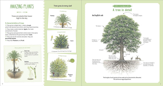 The Book of Amazing Trees