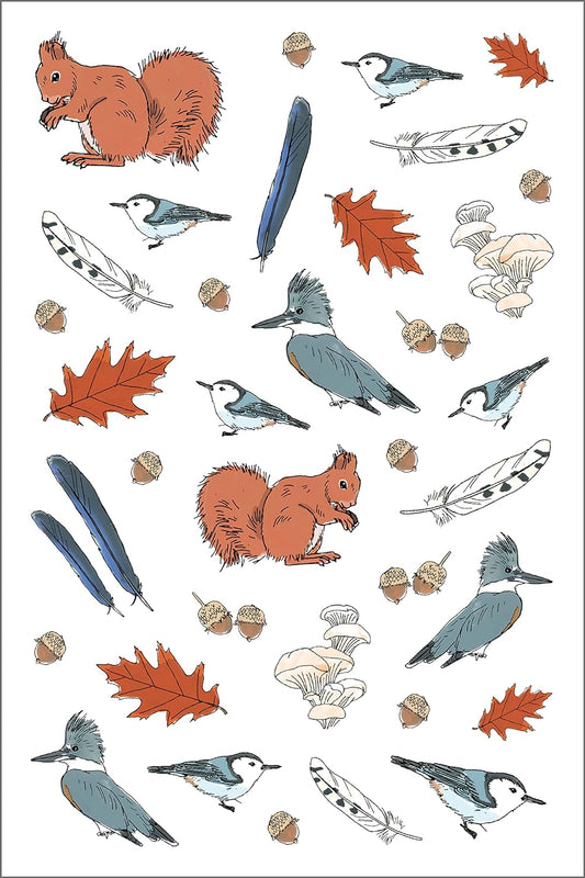 Nature Anatomy Sticker Book