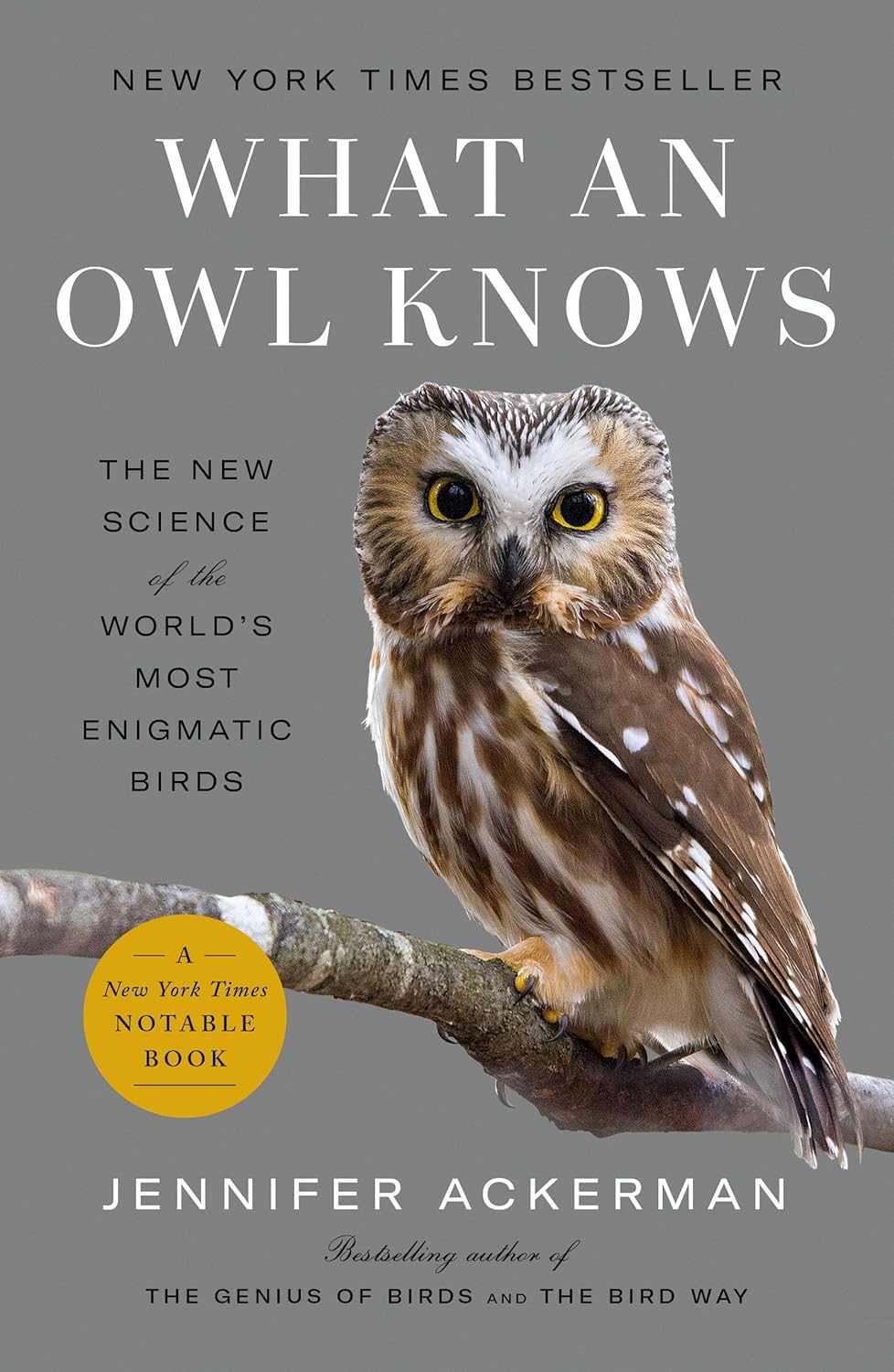 What an Owl Knows