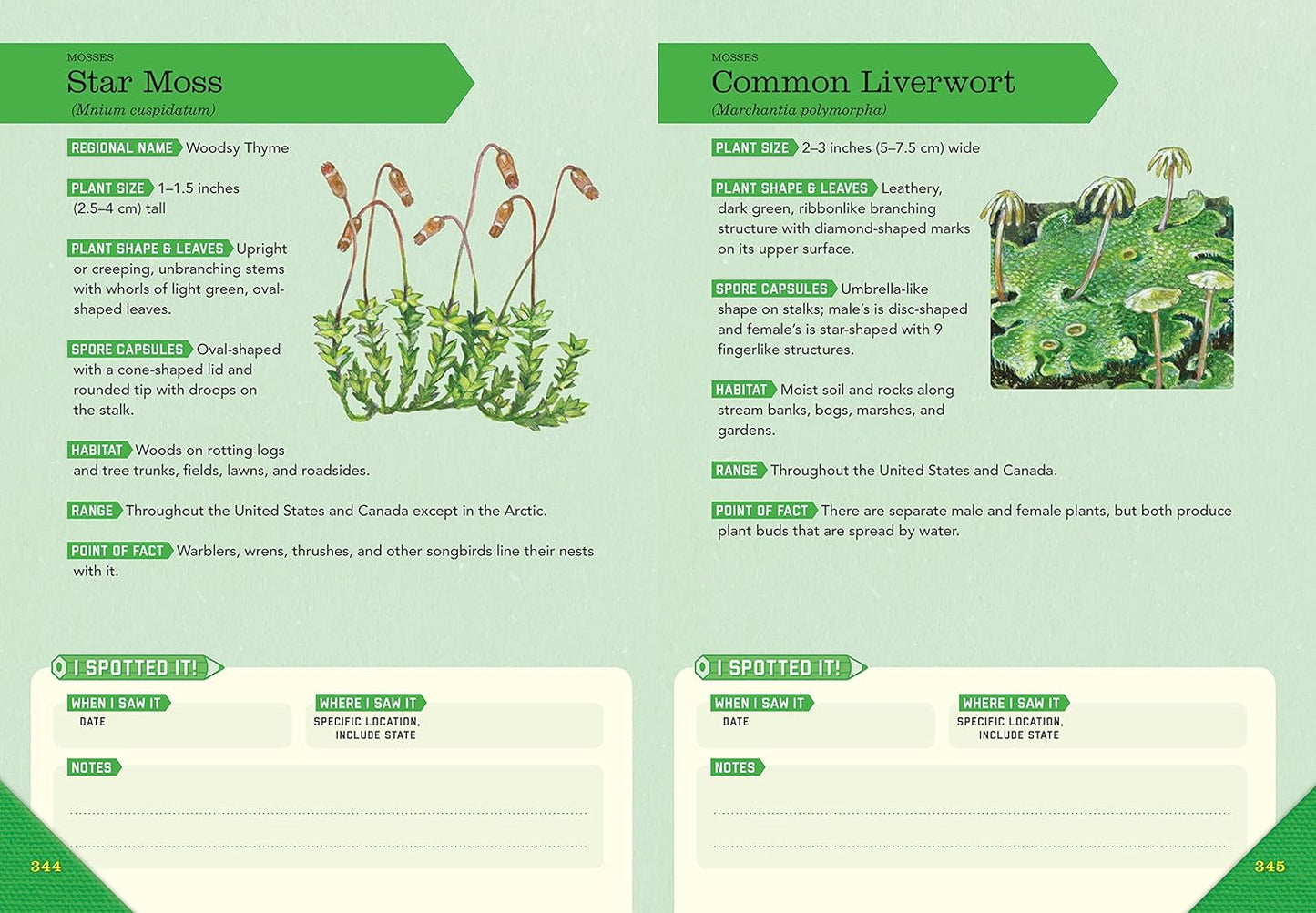 Outdoor School: Tree, Wildflower, and Mushroom Spotting