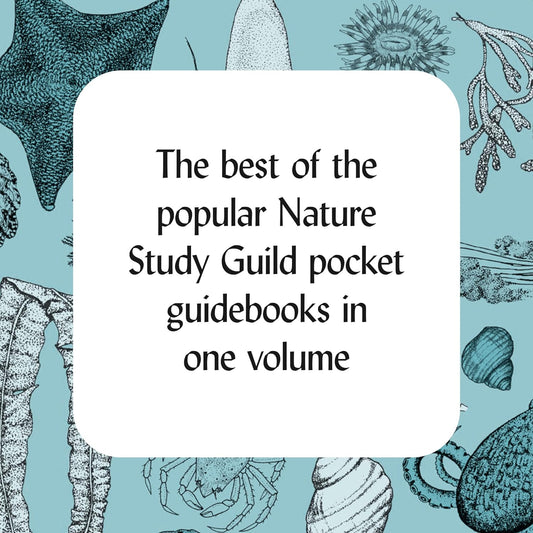 How to Read the Wilderness