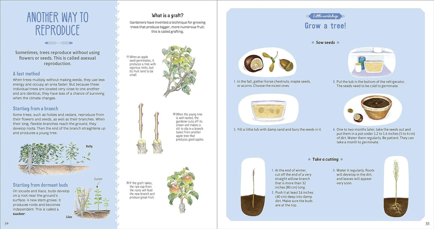 The Book of Amazing Trees
