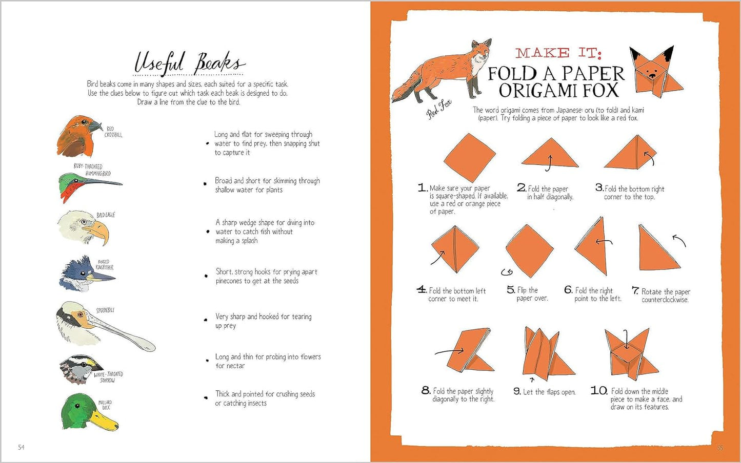 Nature Anatomy Activity Book