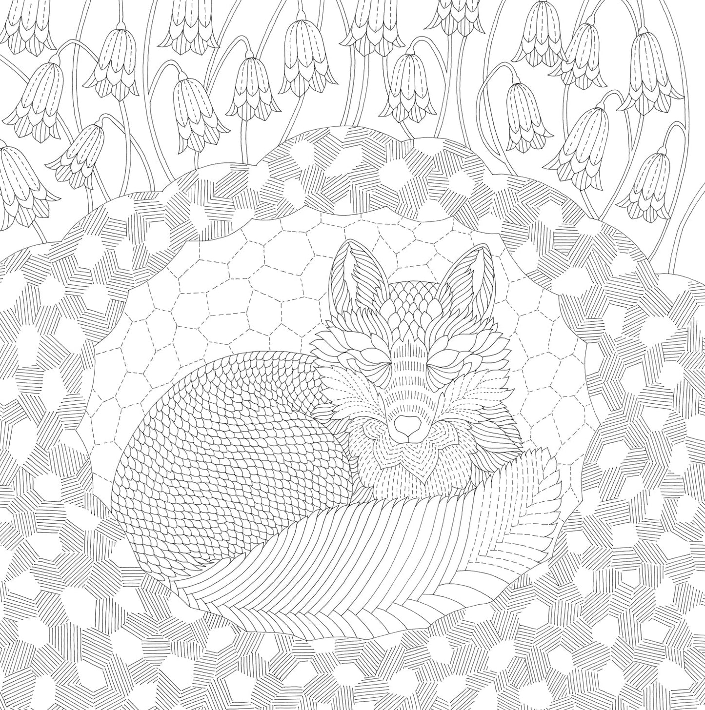 Millie Marotta's Woodland Wild Coloring Book