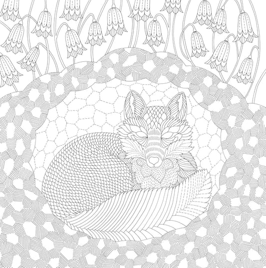 Millie Marotta's Woodland Wild Coloring Book