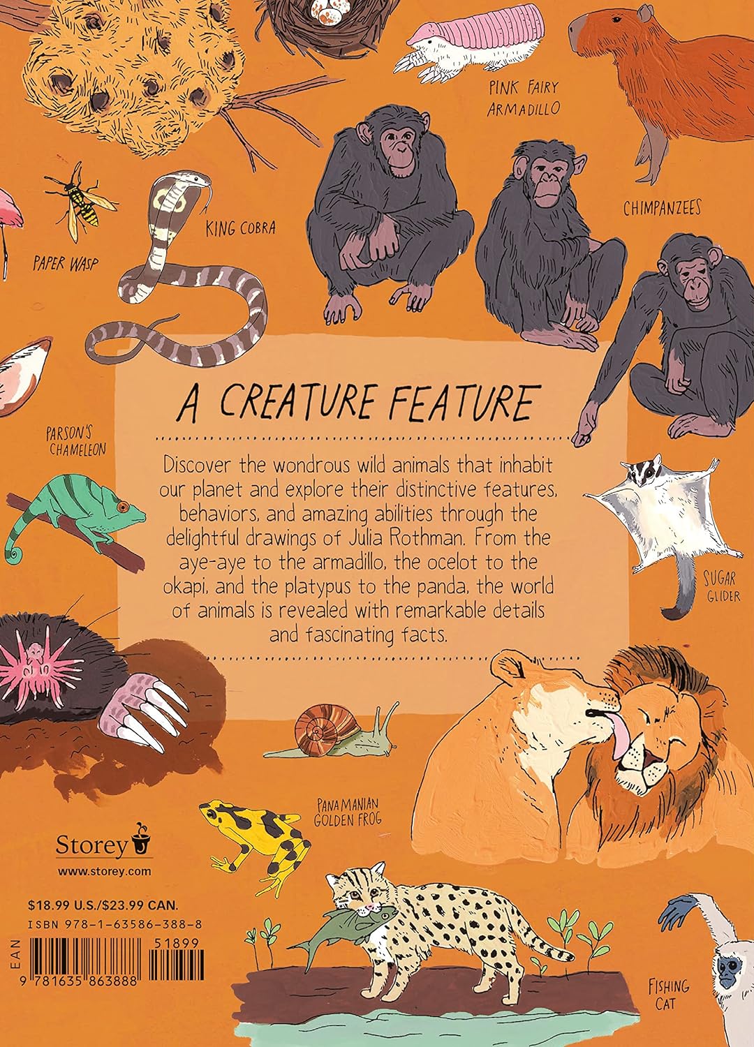 Wildlife Anatomy: The Curious Parts and Pieces of the Natural World