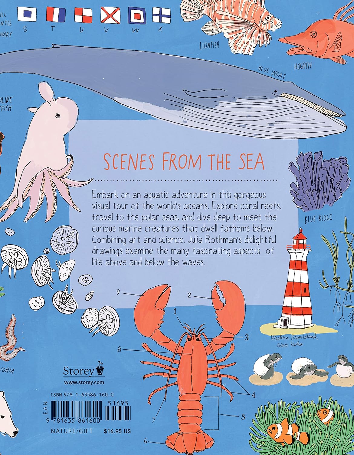 Ocean Anatomy: The Curious Parts & Pieces of the World under the Sea