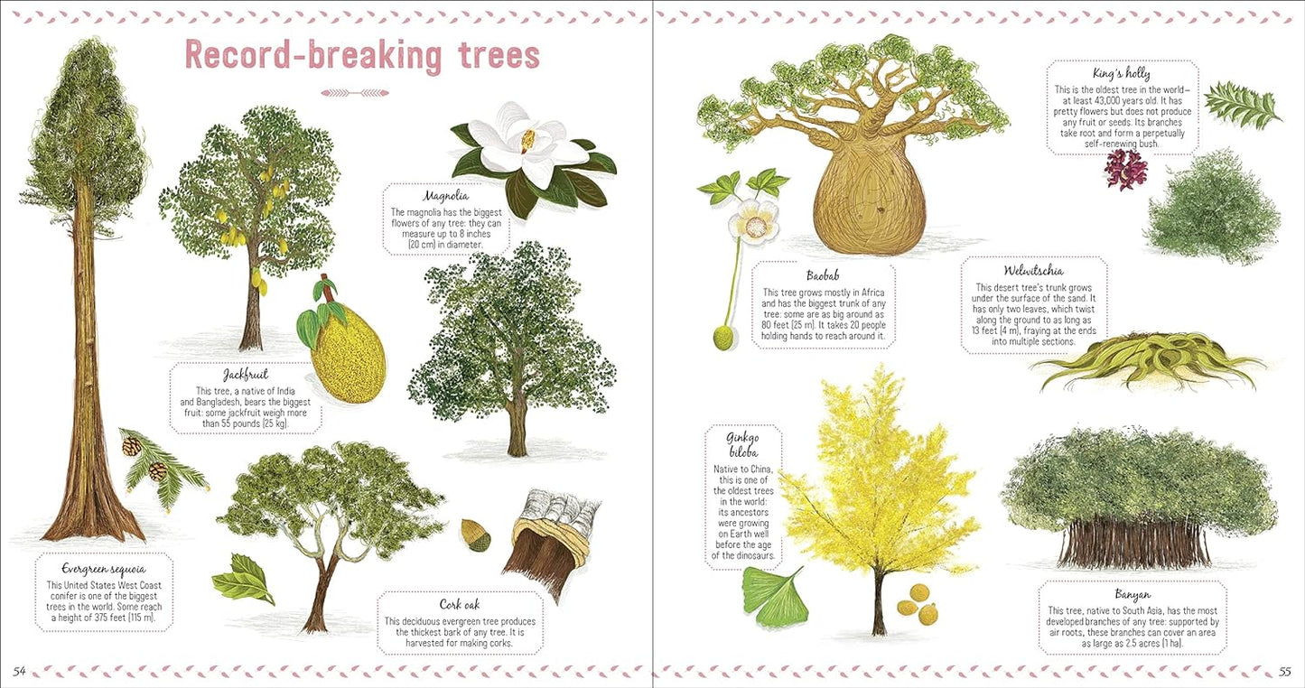 The Book of Amazing Trees