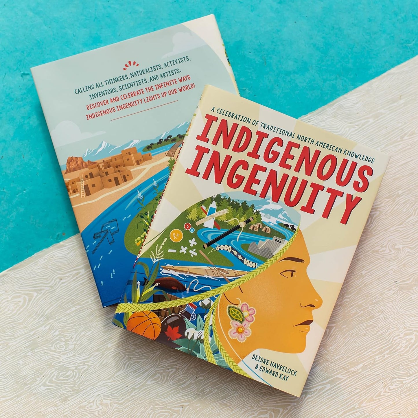 Indigenous Ingenuity - Paperback