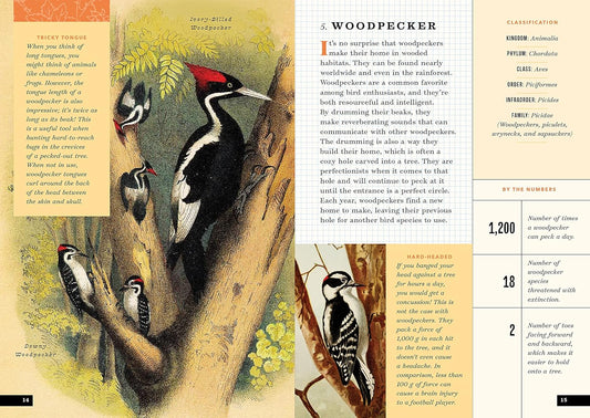 The Little Book of North American Birds